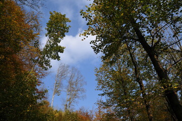 Wałbrzych Mountains, Poland