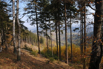 Wałbrzych Mountains, Poland