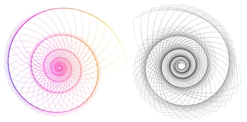  Abstract spiral rainbow design element on white background of twist lines © Yuriy Bogdanov