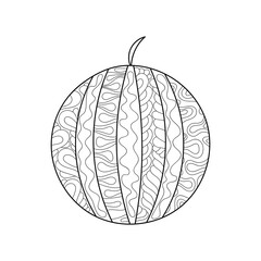 Watermelon Coloring book for adult and older children. Hand drawn Page with doodle elements. Freehand sketch Vector illustration