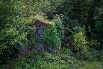 Overgrown monolith on the edge of the forest at Stenzelberg.