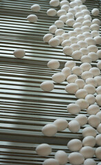 homemade products, farm production of chicken eggs, ecological products, no chemical additives, homemade food production, farm and farming culture, healthy lifestyle, fresh food