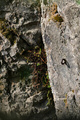 Single climbing hook in a steep wall.