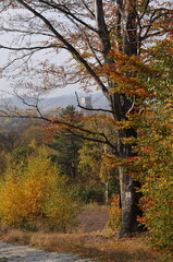 Wałbrzych Mountains, Poland