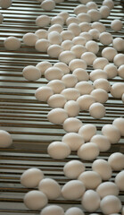 homemade products, farm production of chicken eggs, ecological products, no chemical additives, homemade food production, farm and farming culture, healthy lifestyle, fresh food