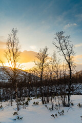 Sunrise in the Dovrefjell