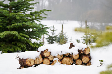 Neatly piled stack of chopped dry trunks wood covered with snow outdoors on bright cold winter day, abstract background. Chunks of stacked firewood. Wood stack in wintery landscape.