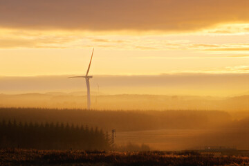 Fototapeta na wymiar Wind power turbines in the countryside at sunset. West Lothian, Scotland, United Kingdom