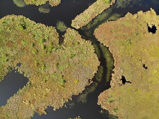 swamp and a river in a nature reserve. Aerial view from the top down Flying over
