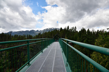 WHISTLER, BC, CANADA, JUNE 04, 2019: Whistler Bungee Bridge, one of attraction in Sea to Sky trail, British Columbia, Canada