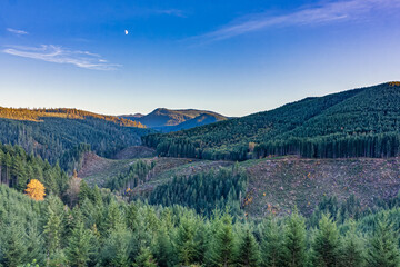 autumn landscape in the mountains