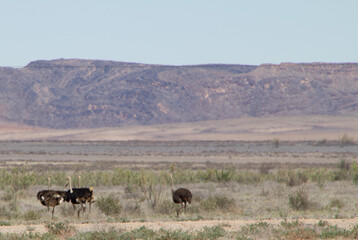 Namuskluft in Namibia