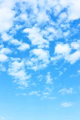 Poster Blue sky with white clouds - vertical background © Roman Sigaev