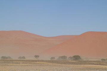 Fototapeta na wymiar Fahrt zur Big Daddy Düne in Namibia nahe Deadvlei, dem Tal des Todes