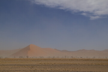 Big Daddy Düne in Namibia nahe Deadvlei, dem Tal des Todes