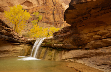 Fototapeta na wymiar Water Fall Coyote Gulch Utah