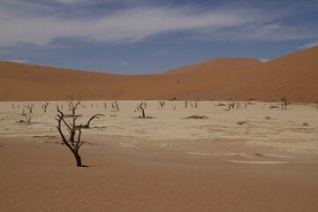 Deadvlei, das Tal des Todes in Namibia