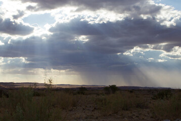Im Ugab Flußbett in Namibia