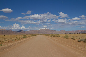 Im Ugab Flußbett in Namibia