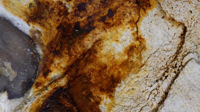 Petrified wood on a turn table