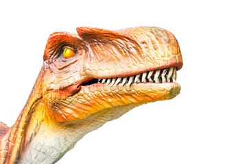 Cool dinosaur isolated on white background
