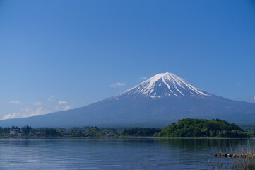 河口湖と富士山