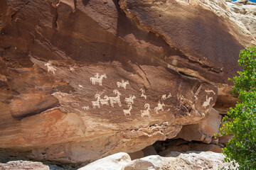 Wolfe Ranch Rock Art Panel