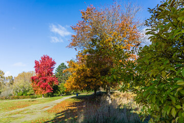 Fototapeta premium Seatac Sports Field 5