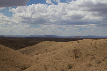 Im Ugab Flußbett in Namibia