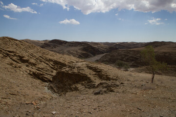 Im Ugab Flußbett in Namibia