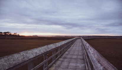 Fototapeta premium Sunset at the Park