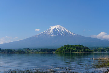 河口湖と富士山