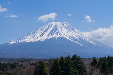 Fototapeta premium 朝の富士山と精進湖