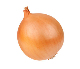 One onion isolated on white background