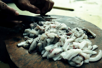 Squid bait shredder of fishing in the Gulf of Thailand.