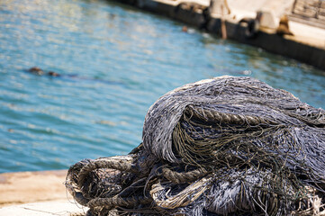 nets on the dock