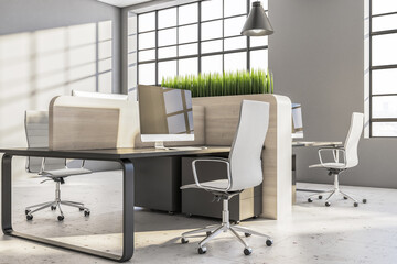 Luxury interior office with computers and green grass on desk