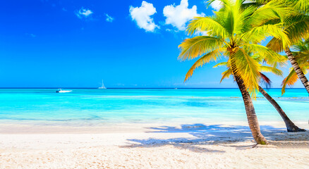 Palm trees on the caribbean tropical beach. Saona Island, Dominican Republic. Vacation travel background. Banner wide format
