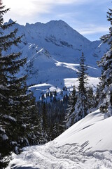 Tatry, zima, śnieg, Dolina Gąsienicowa,  szlak na Kasprowy Wierch,  