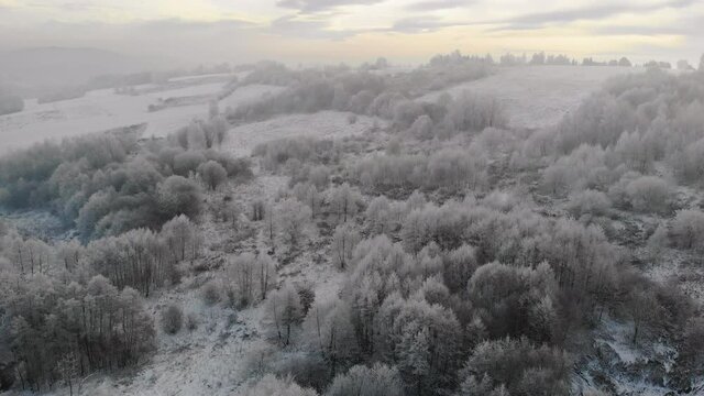 Frozen landscape, trees in frost, high angle aerial view, snowy winter scenery