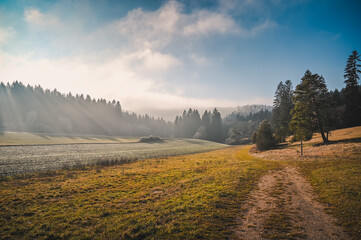 A dirt road leads through beautiful winter landscape with frozen fields, heather and forest on a sunny day. Fog moves over the forest in the background.