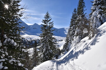 Tatry, zima, śnieg, Dolina Gąsienicowa,  szlak na Kasprowy Wierch,  