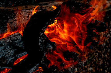 burning stump, sparks texture, fire, flame