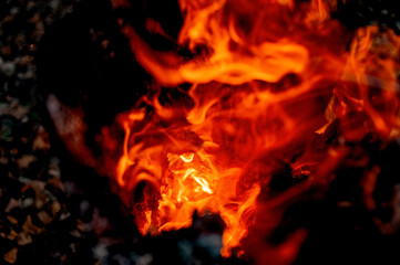 burning stump, sparks texture, fire, flame