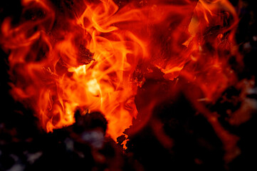 burning stump, sparks texture, fire, flame