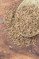 Cumin seeds on a wooden spoon 