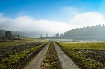 Fototapeta premium A straight dirt road leads between frozen fields to the horizon on a sunny day. Fog moves over the forest in the background.