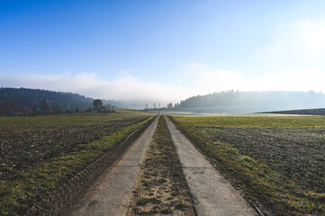 Fototapeta na wymiar A straight dirt road leads between frozen fields to the horizon on a sunny day. Fog moves over the forest in the background.