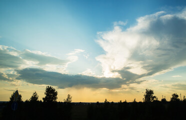 Fototapeta premium the beautiful gray clouds against a blue sky at sunset