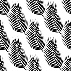 Black and white leaves seamless pattern. Fern